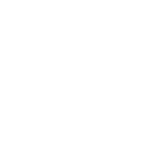 Logo Icon